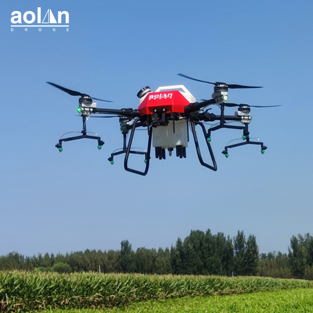 Imagen 6
