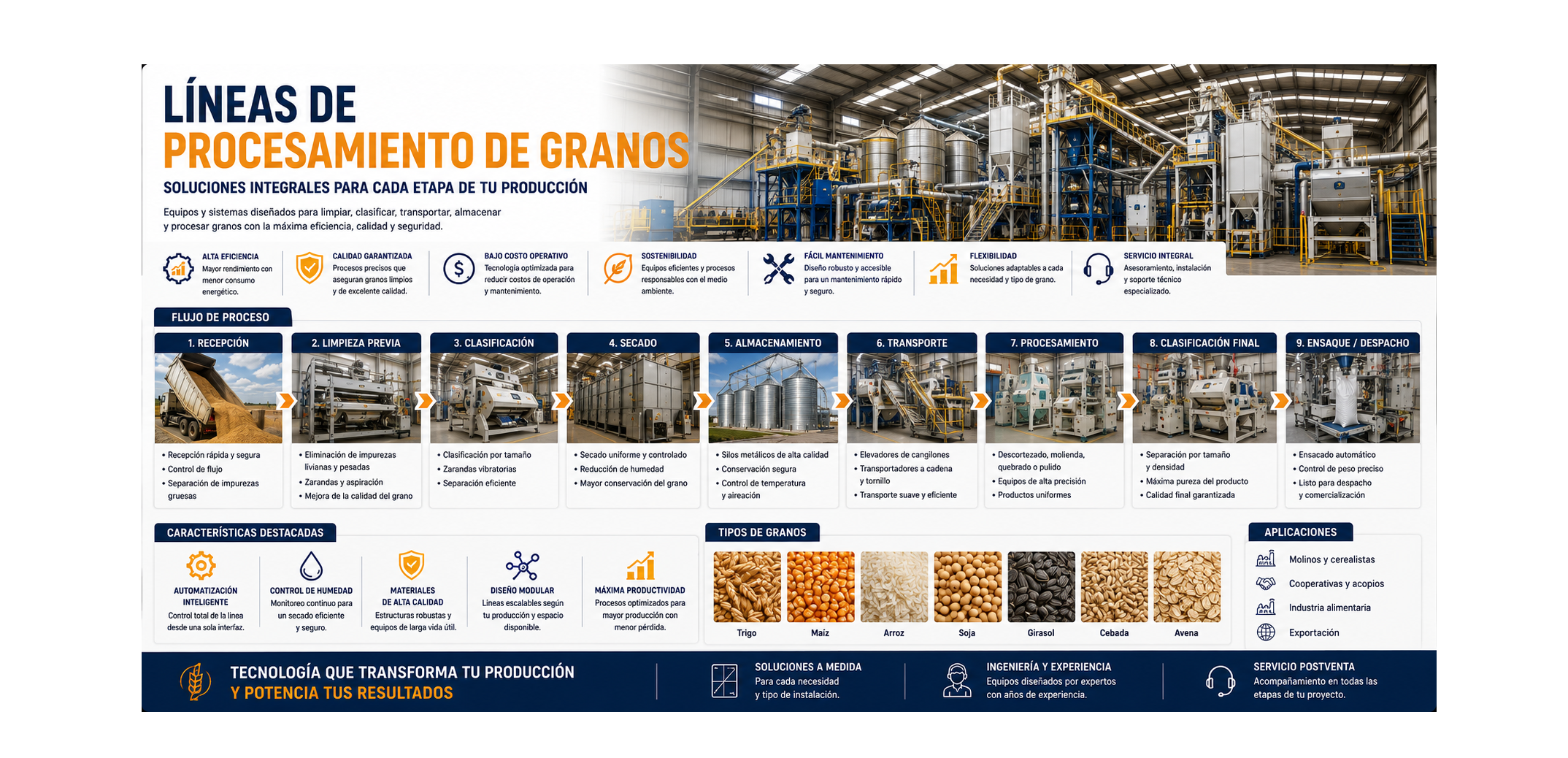 Líneas de procesamiento de granos